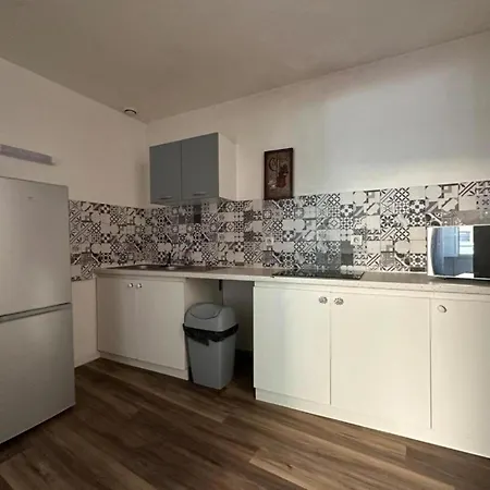 Apartment T2 Spacieux Et Lumineux Le Puy-en-Velay